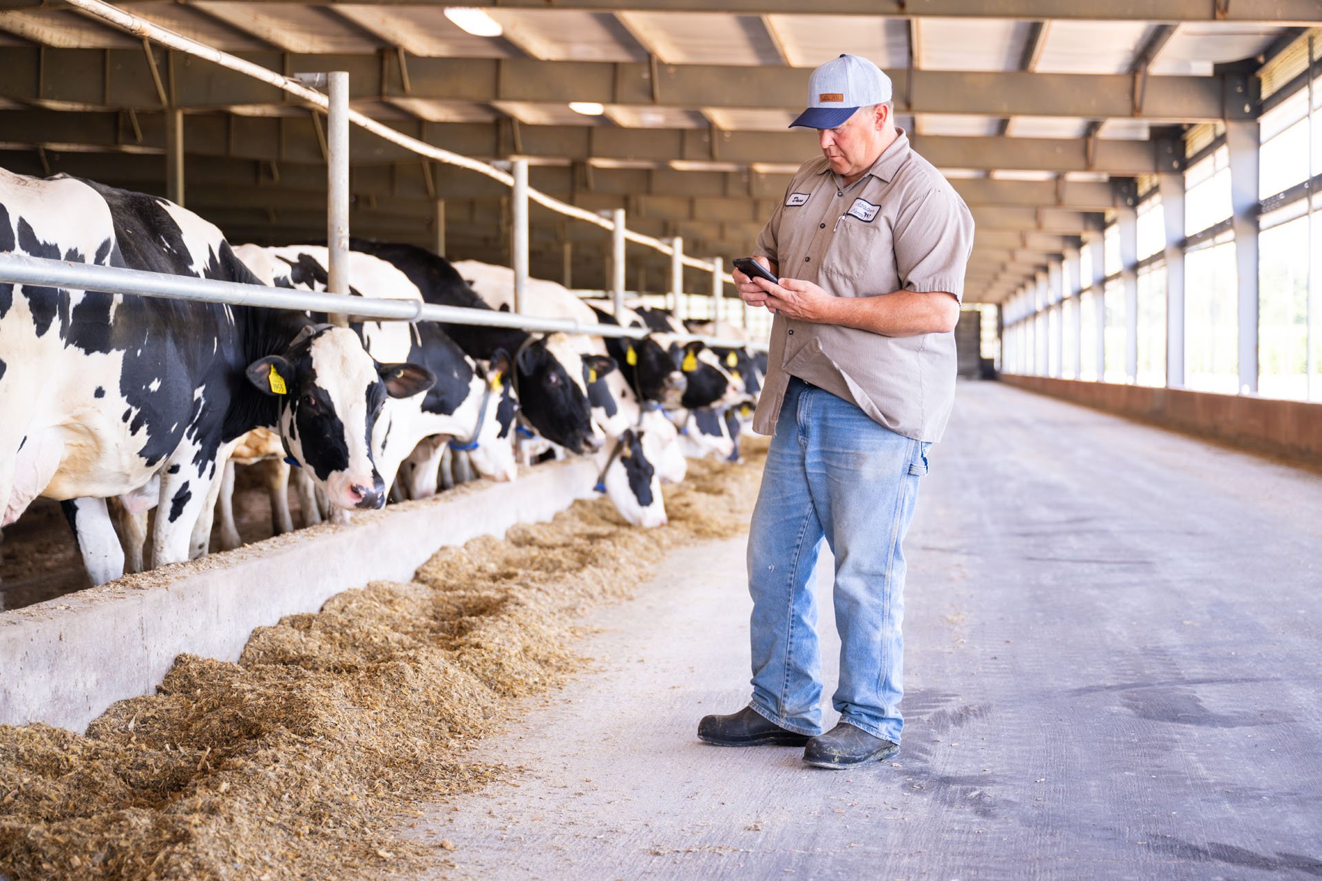 Catch Sick Cows Faster