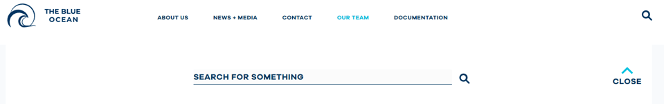 site-search