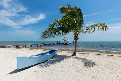Boat on Beach With Palm Tree