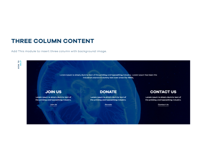 Three Column Content