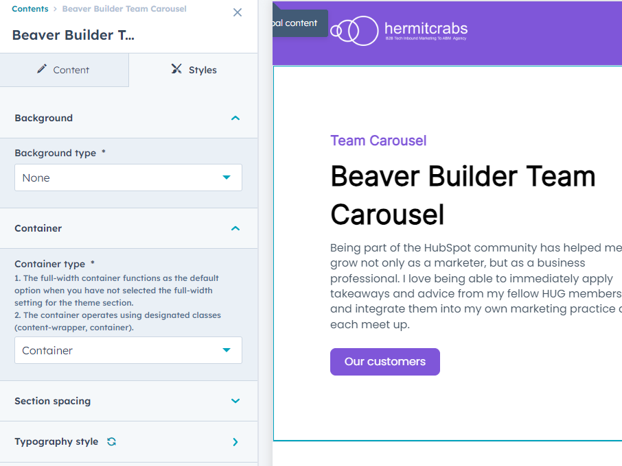 Multipal Customization Style Options